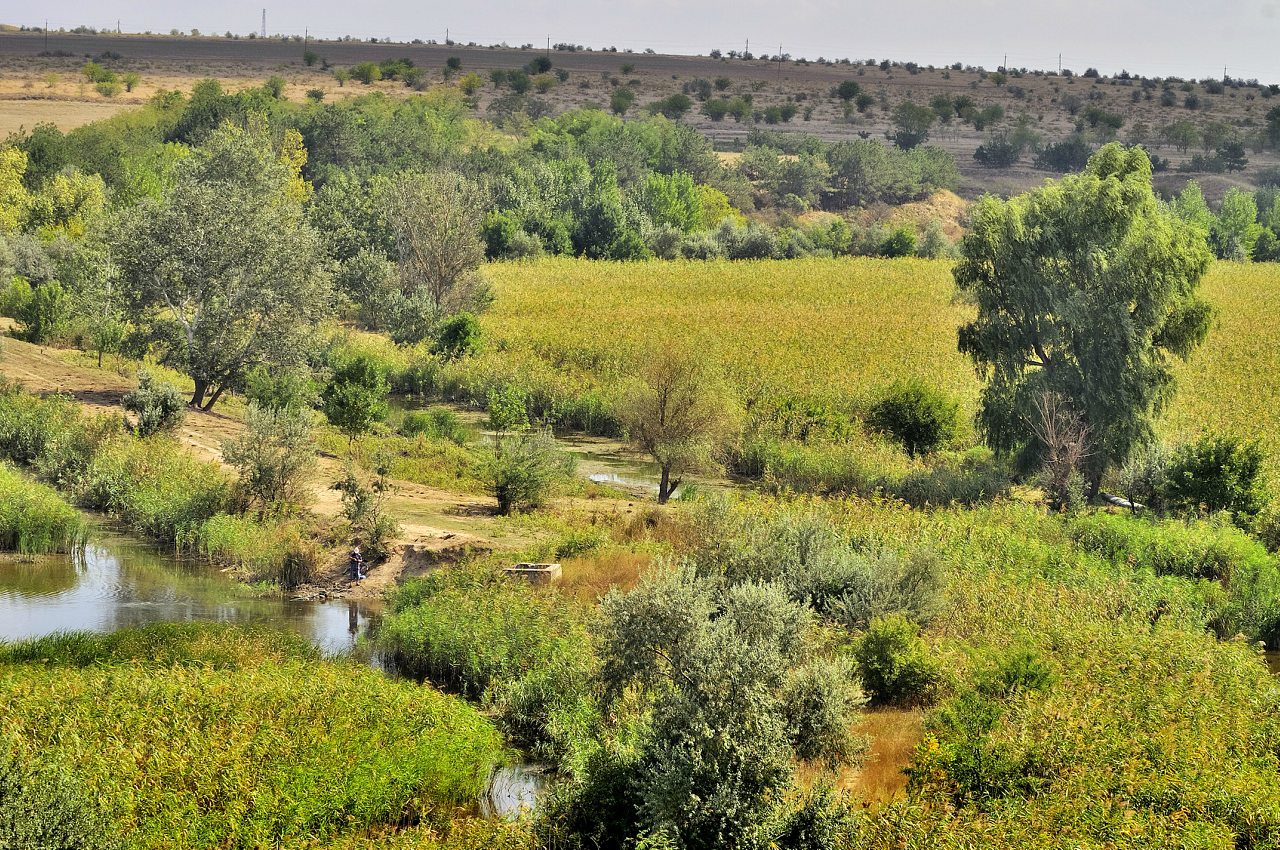 Бургунка - Бургунка