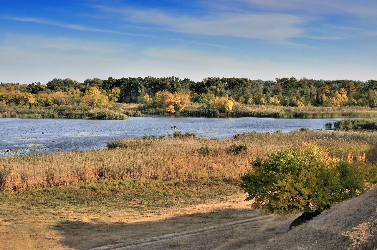 Садове - Садовое