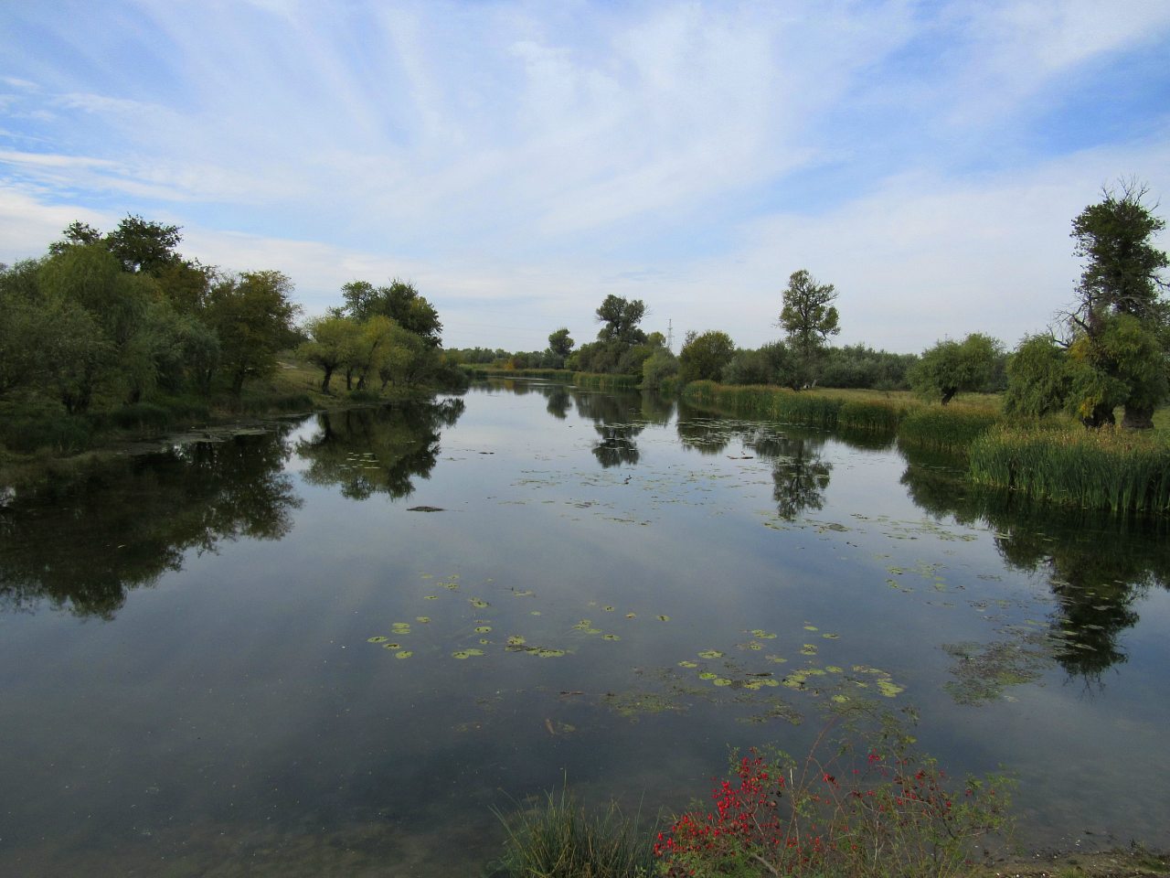 Корсунка - Корсунка