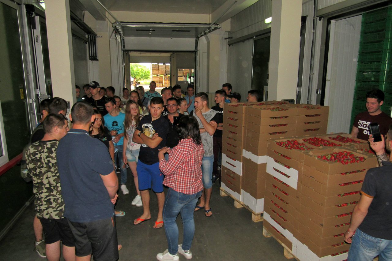 Дніпряни - Дніпряни