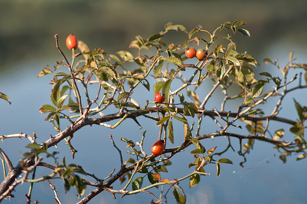 Нова Каховка - Новая Каховка