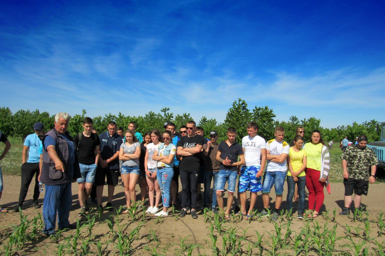 Дніпряни - Дніпряни