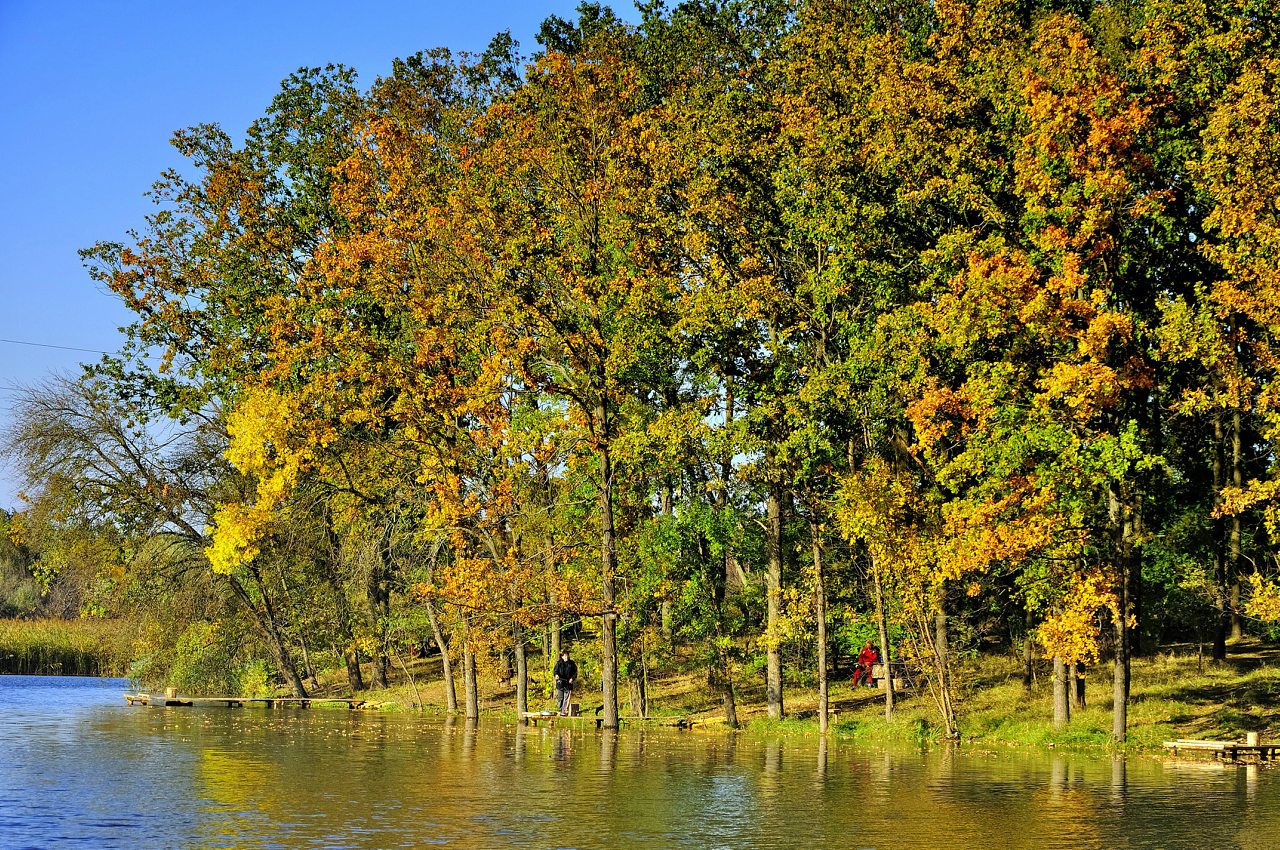 Шилова балка - Vesele