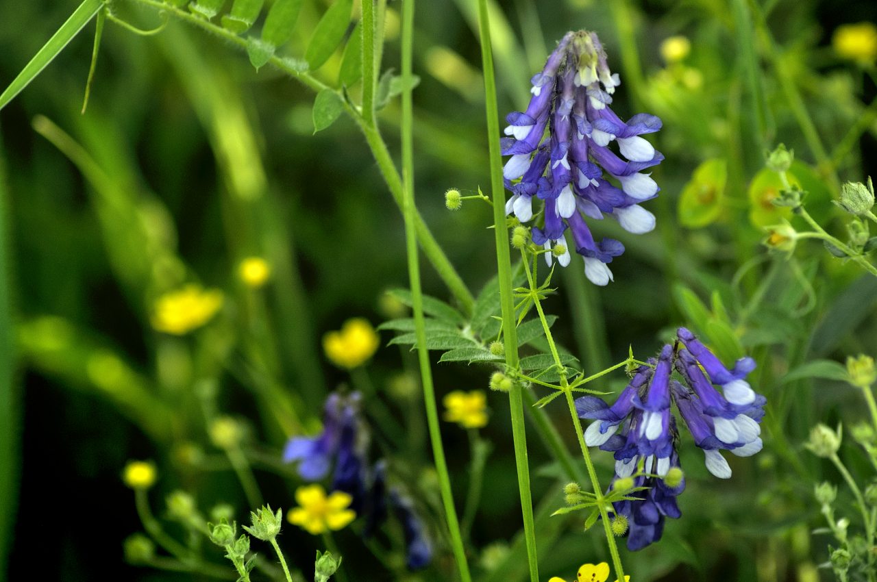 Нова Каховка - Новая Каховка