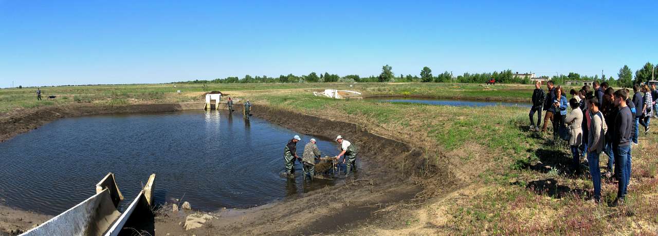 Обривка - Обрывка