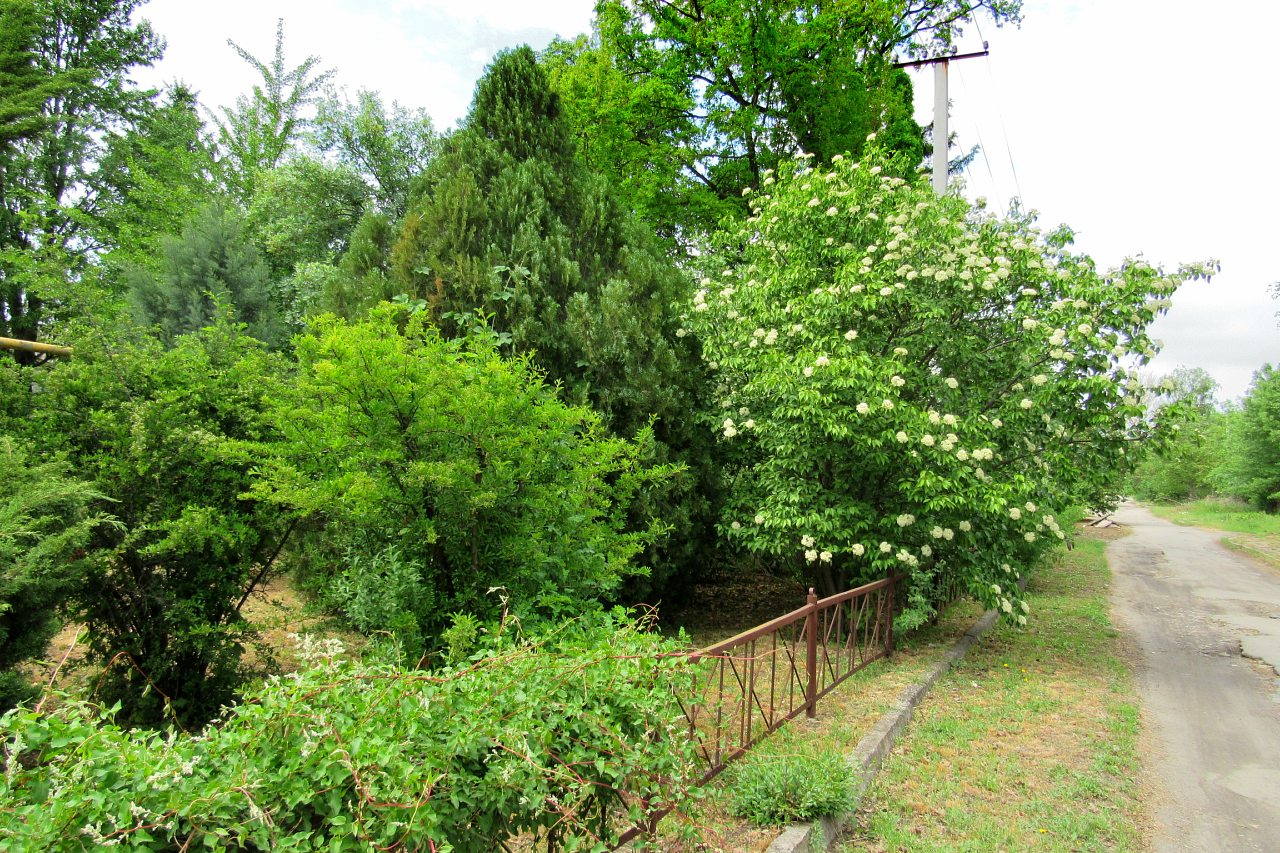 Плодове - Плодове