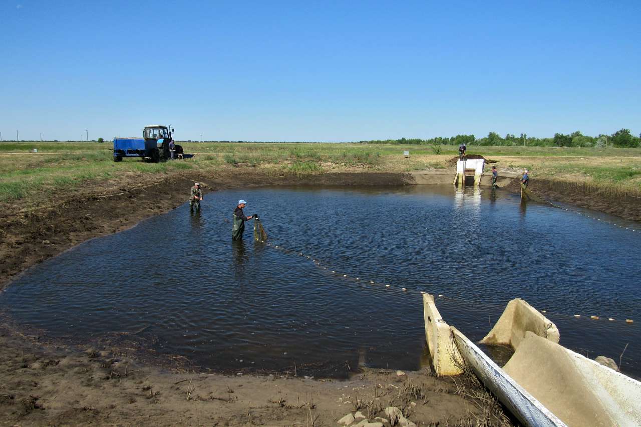 Обривка - Обрывка