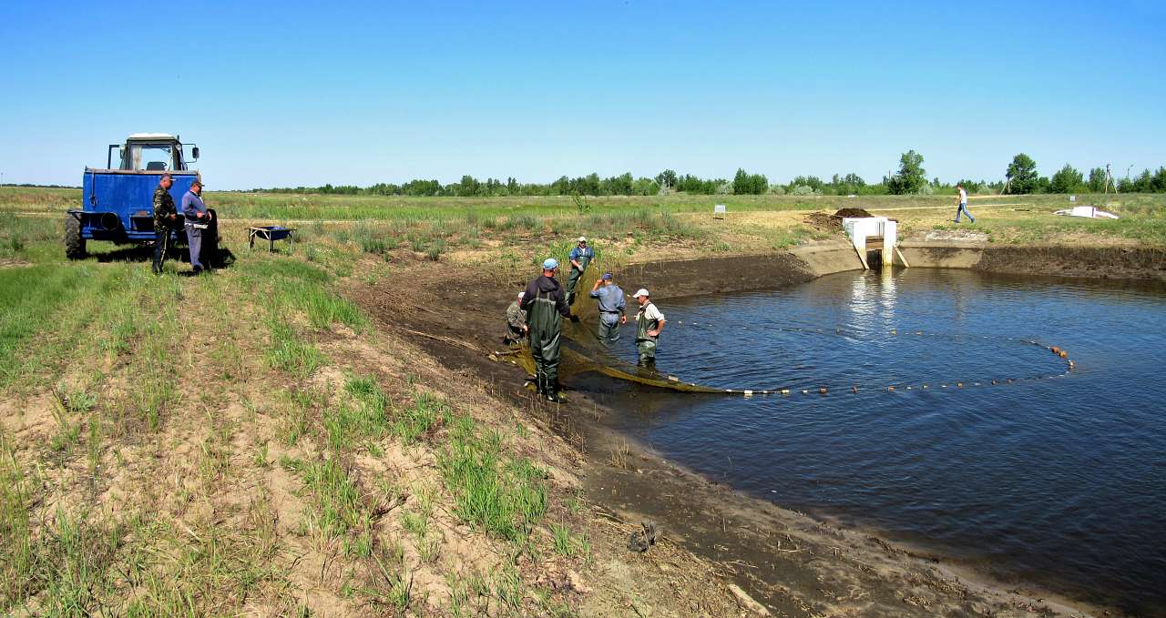 Обривка - Obryvka
