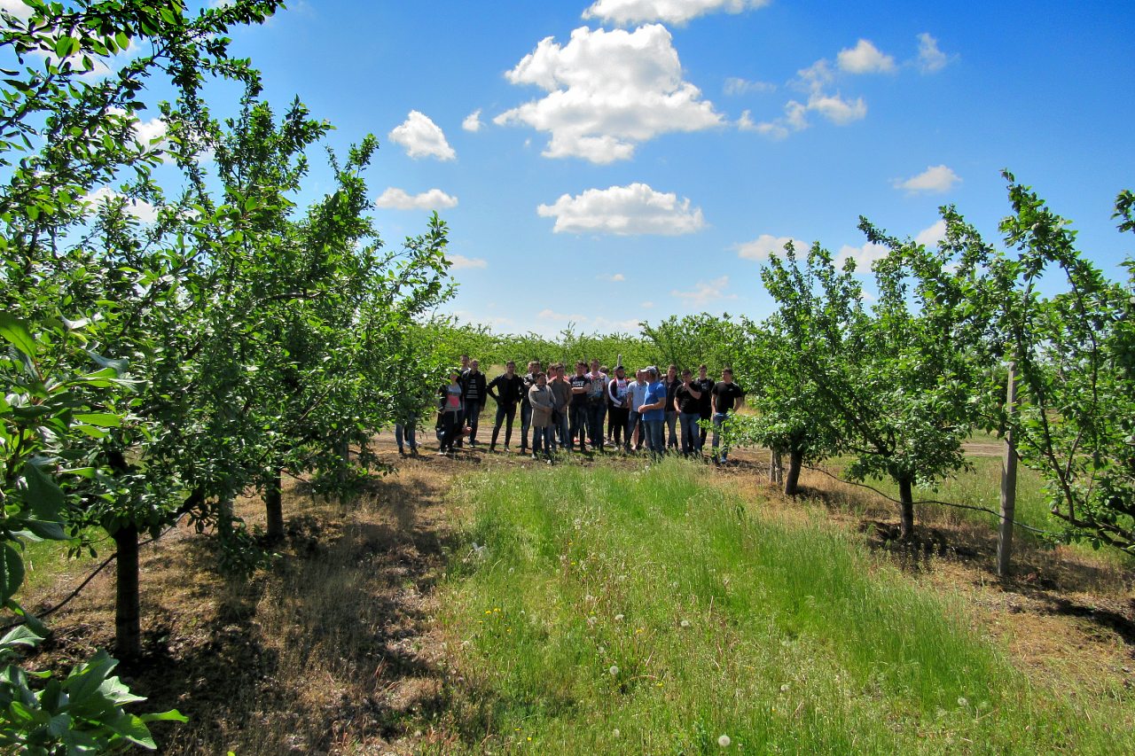 Отрадокаменка - Одрадокам'янка