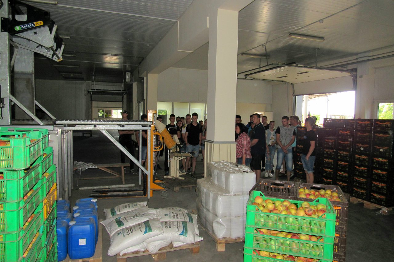 Дніпряни - Дніпряни