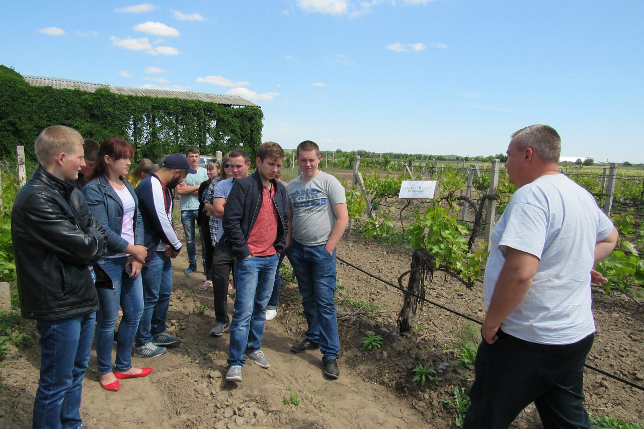 Дніпряни - Дніпряни