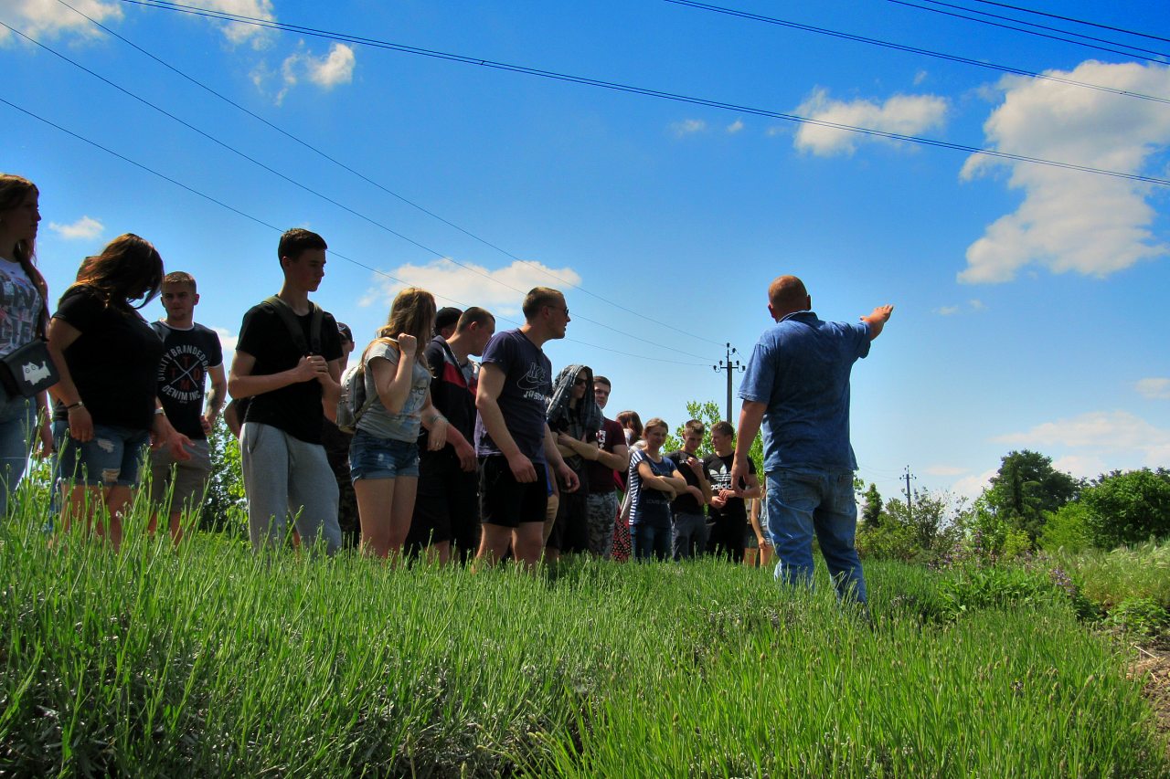 Плодове - Плодове