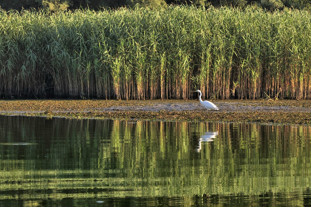 Нова Каховка - Нова Каховка