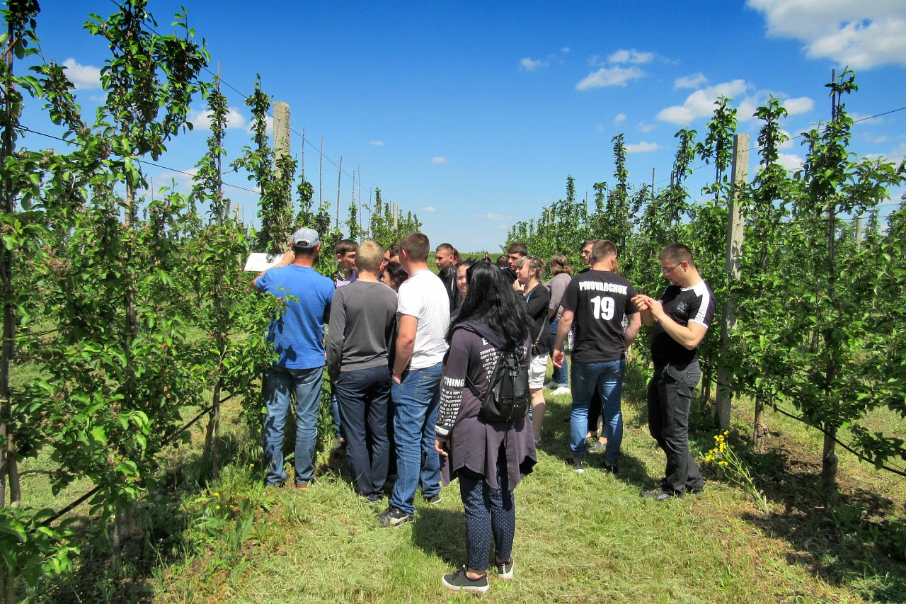 Отрадокаменка - Одрадокам'янка