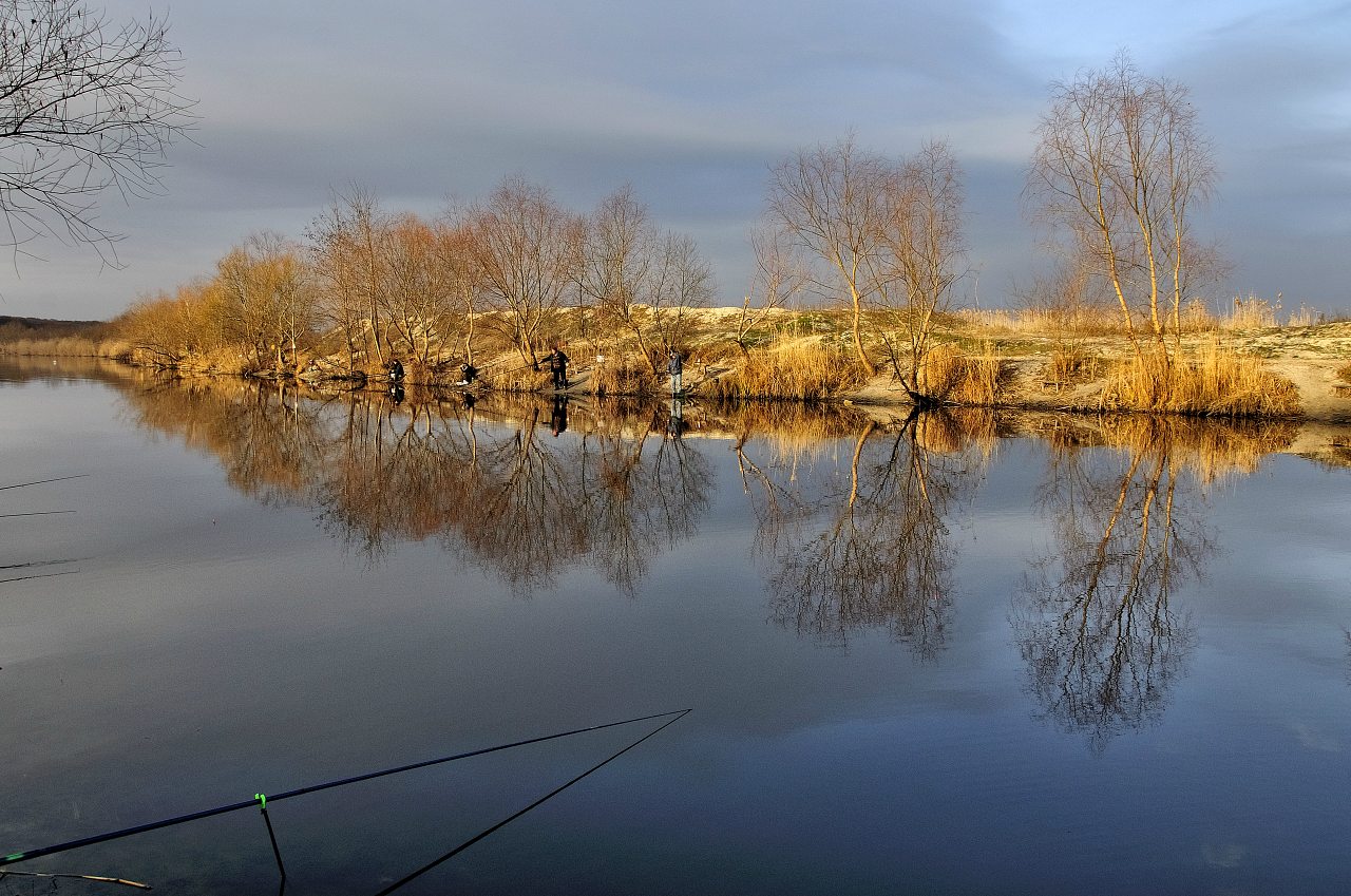 Забарине - Забарине