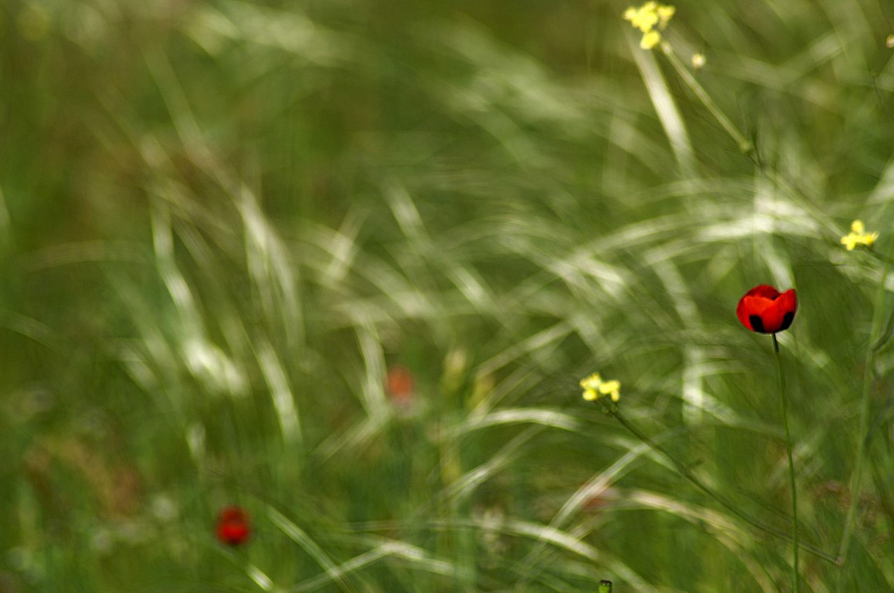 Миколаївка - Миколаївка