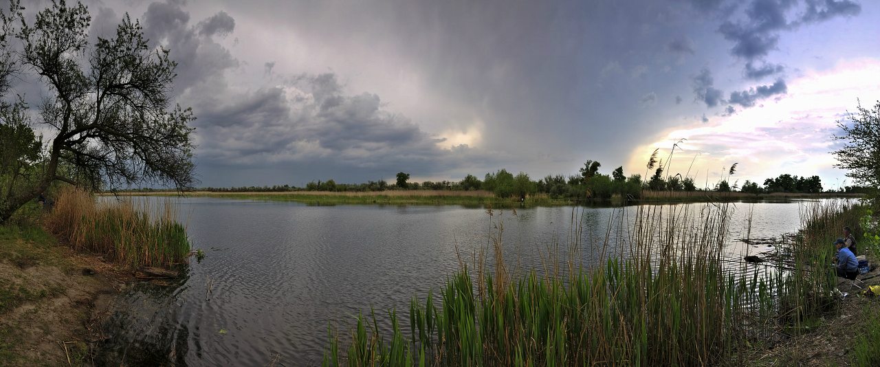 Дніпряни - Днепряны