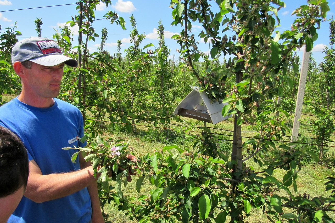 Отрадокаменка - Одрадокам'янка