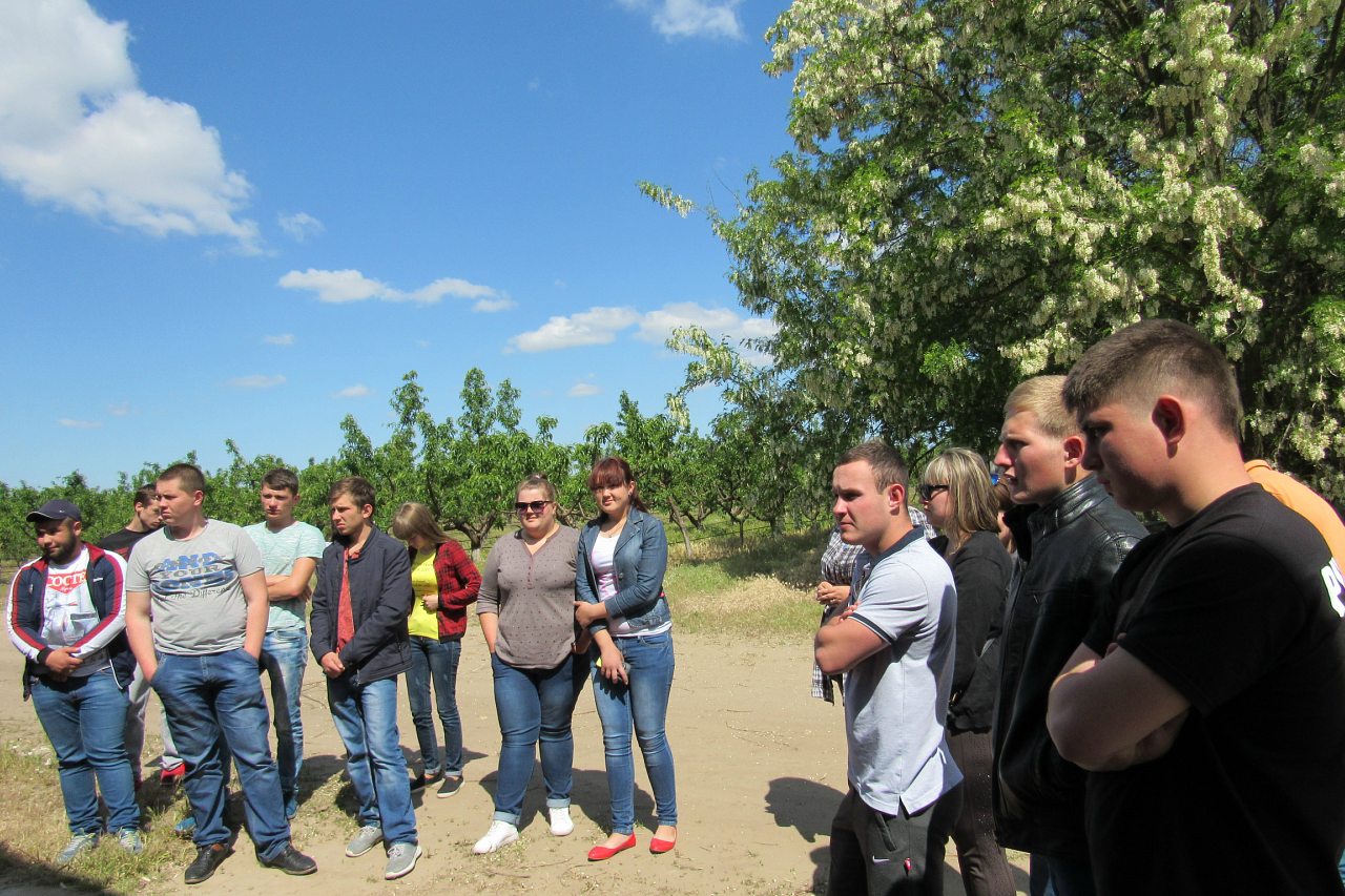 Дніпряни - Дніпряни