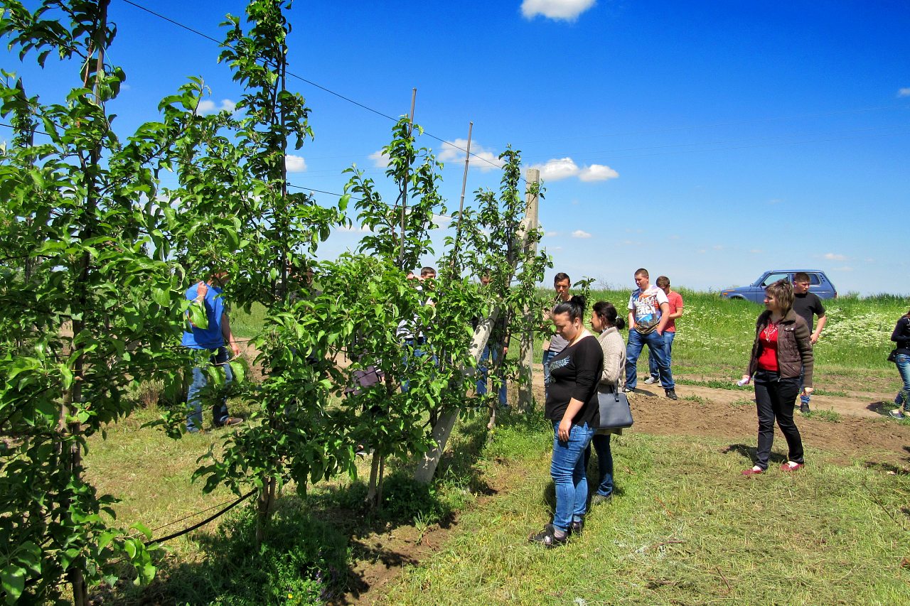 Отрадокаменка - Odradokamyanka