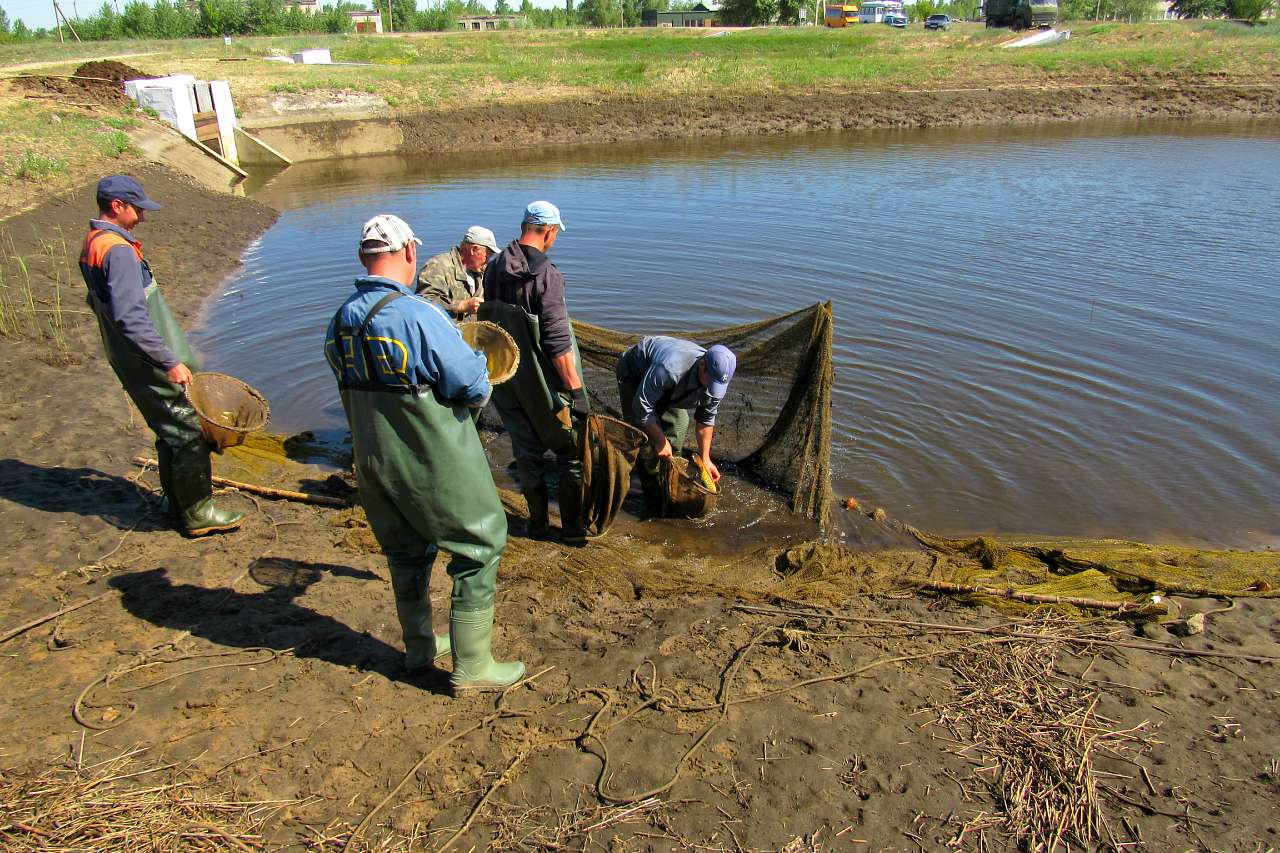 Обривка - Обрывка