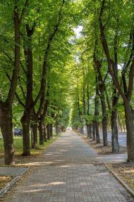 СУМИ - ХХ1 вік