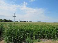 ЖИТТЯ  СЕЛА