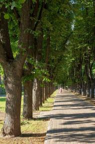 СУМИ - ХХ1 вік