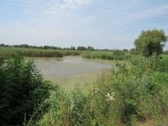 Життя  села