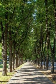 СУМИ - ХХ1 вік