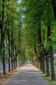 СУМИ - ХХ1 вік