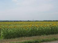 Життя  села