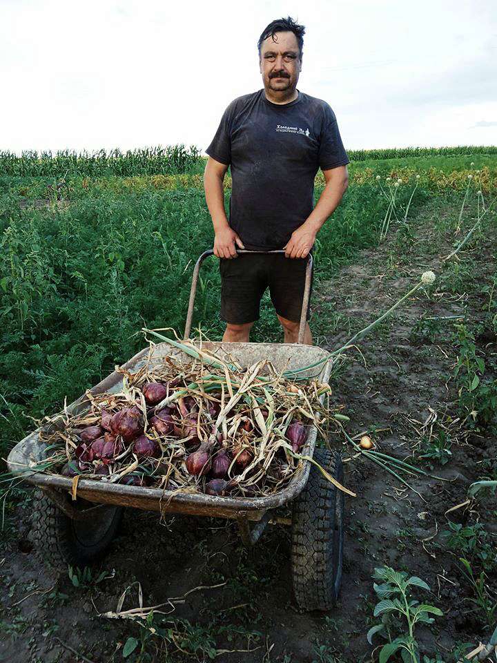 Товмач - Товмач