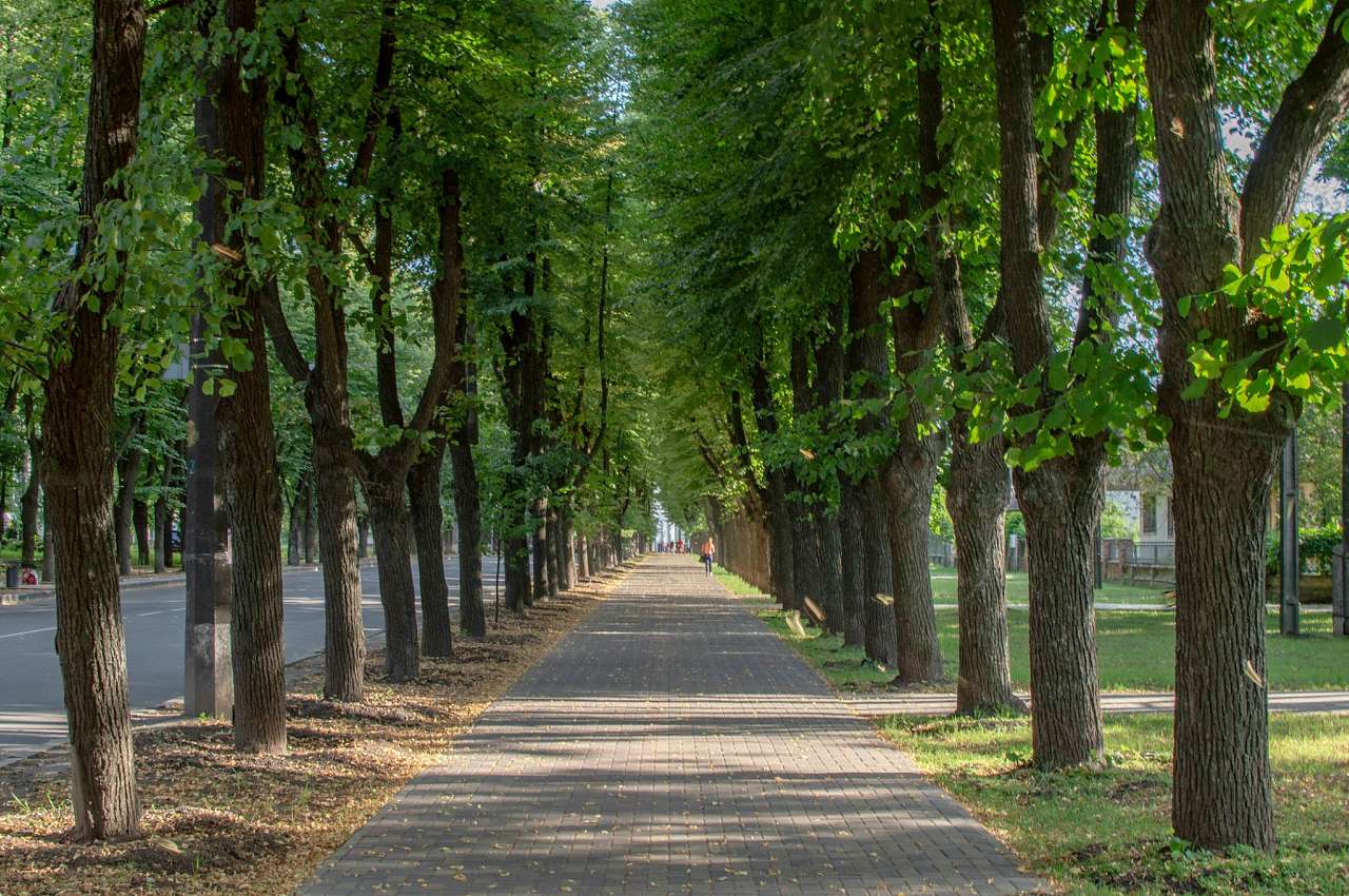 СУМИ - ХХ1 вік - Sumy