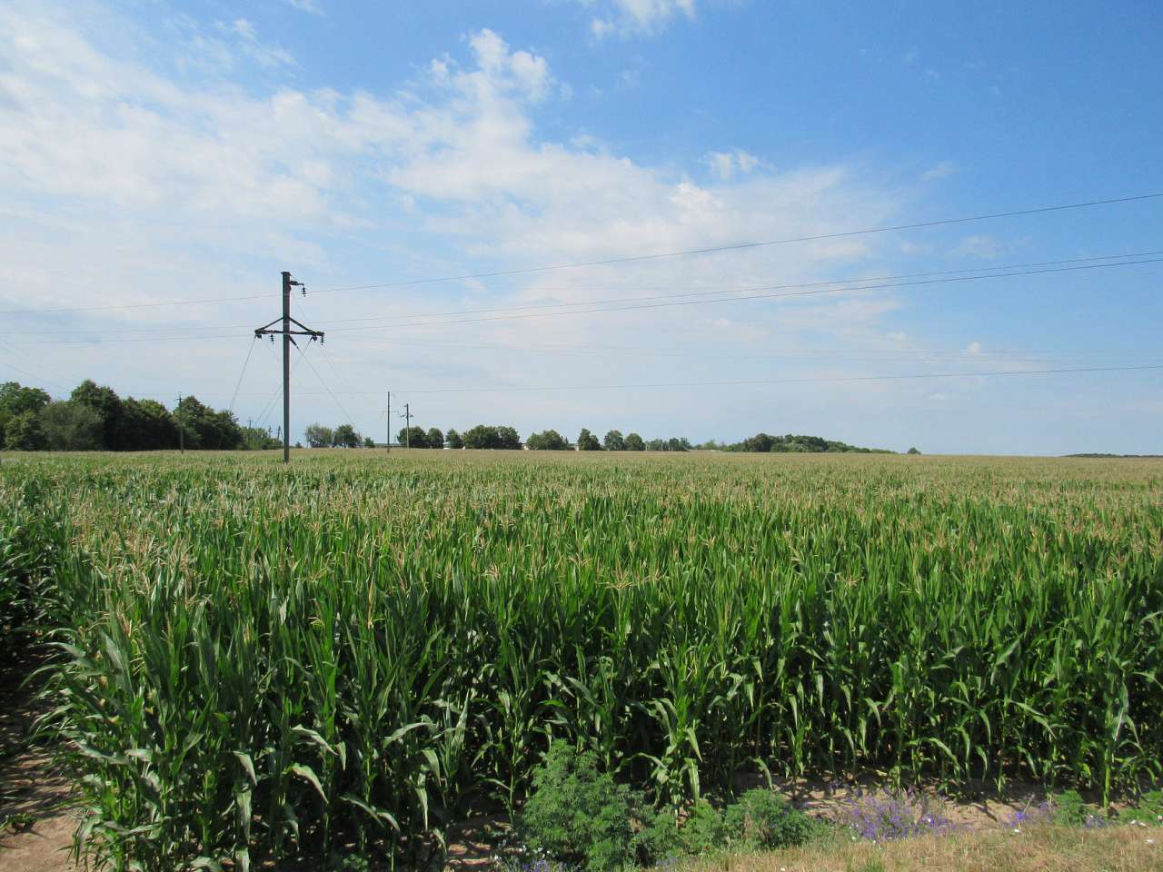 ЖИТТЯ  СЕЛА - Лебедин