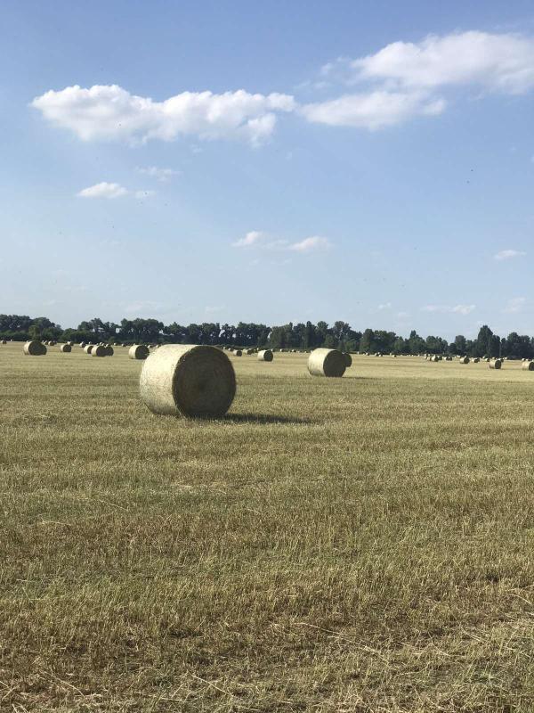 Славний Переяслав у світлинах - Переяслав-Хмельницький