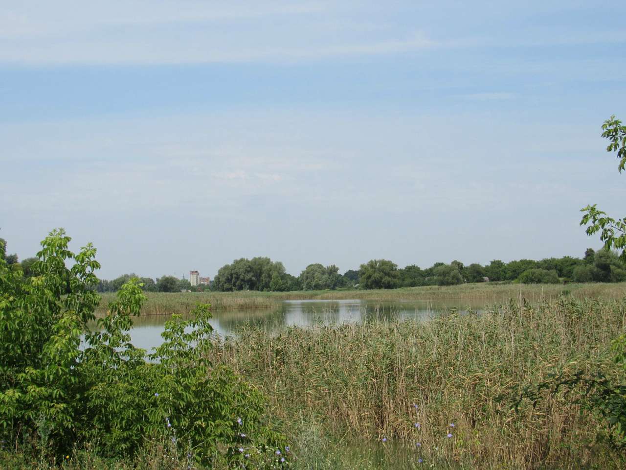 Життя  села - Матусов