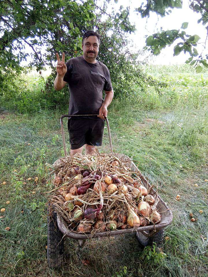 Товмач - Товмач