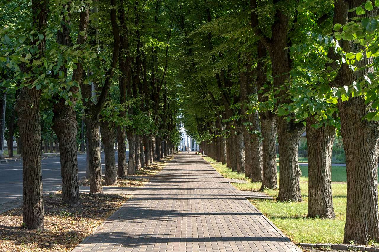 СУМИ - ХХ1 вік - Суми