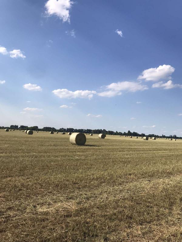 Славний Переяслав у світлинах - Переяслав-Хмельницький