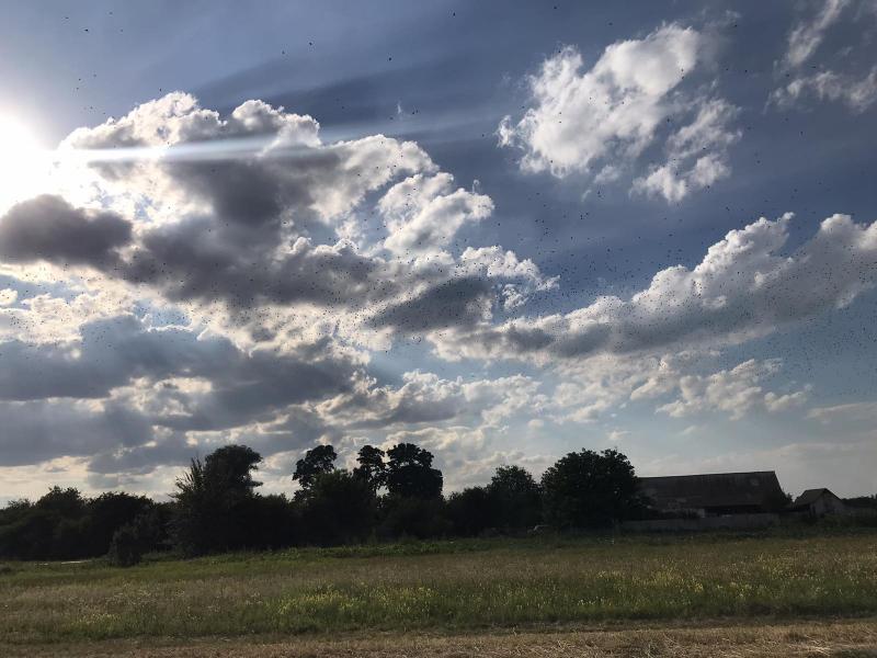 Славний Переяслав у світлинах - Переяслав-Хмельницький