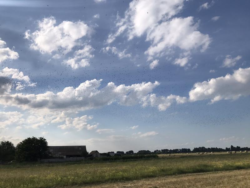 Славний Переяслав у світлинах - Переяслав-Хмельницький