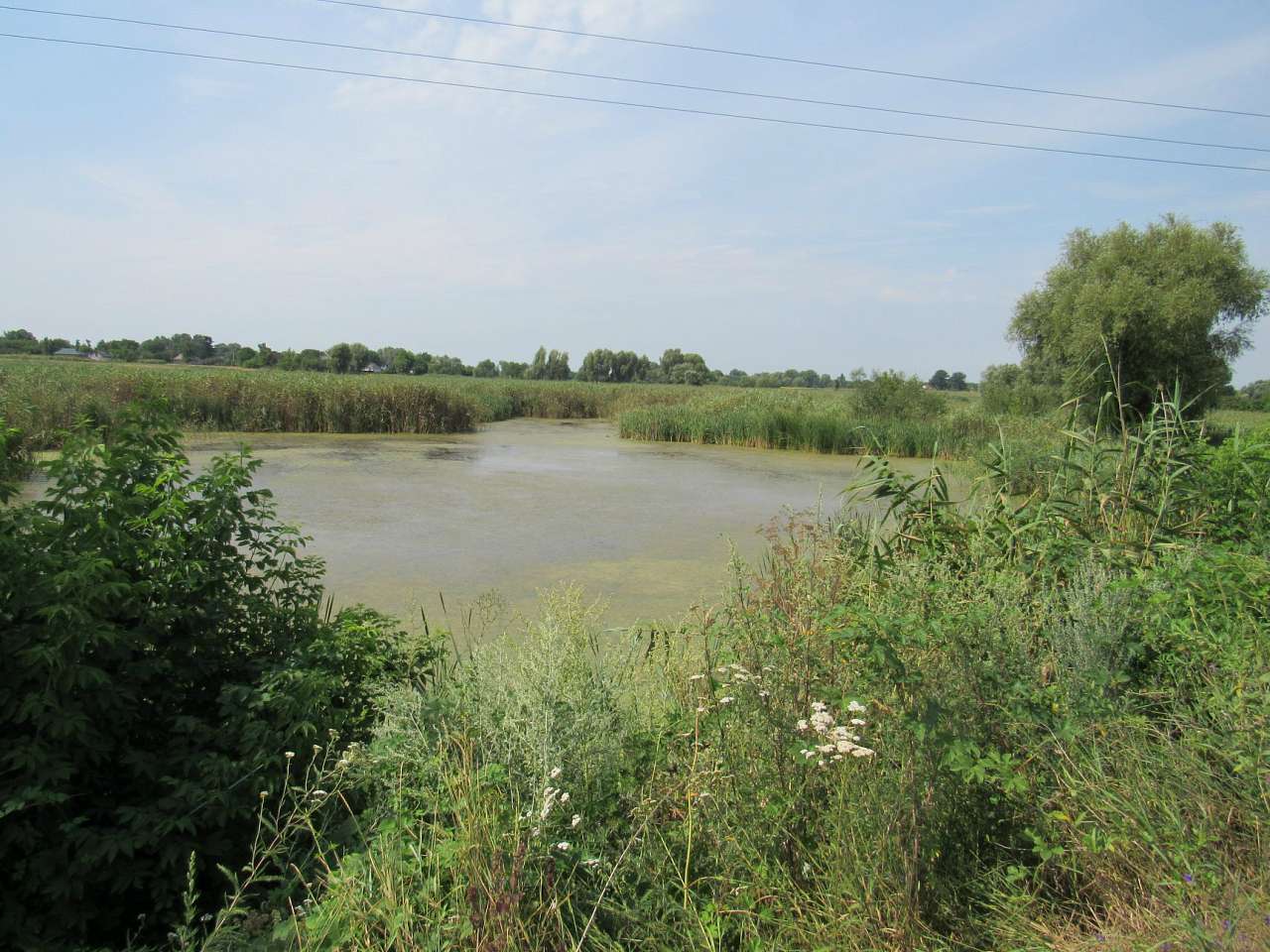 Життя  села - Матусів