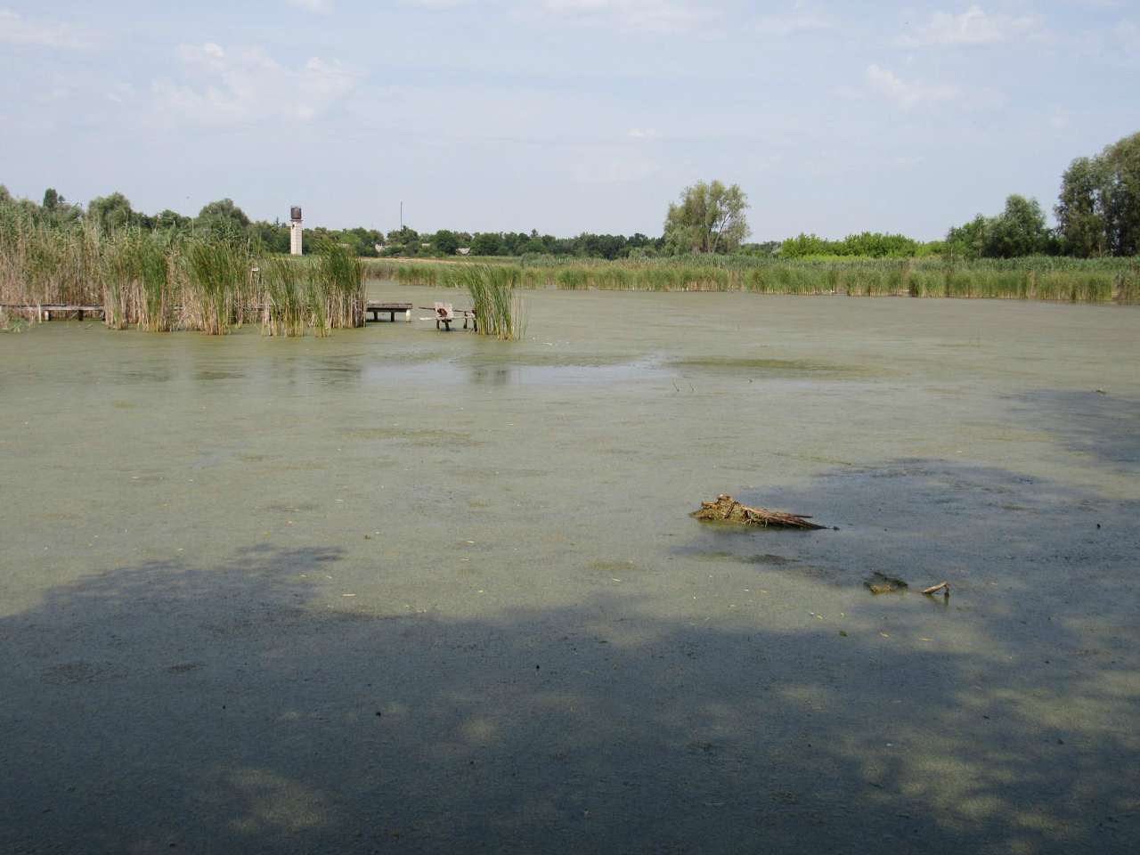 Сигнаївка - Сигнаївка