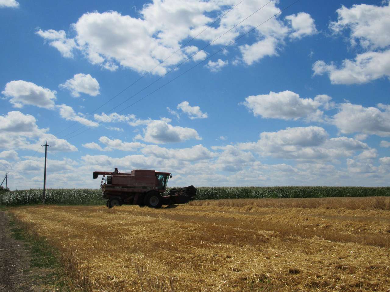 Скотареве - Скотареве