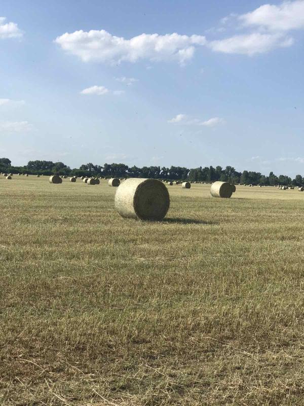 Славний Переяслав у світлинах - Переяслав-Хмельницький