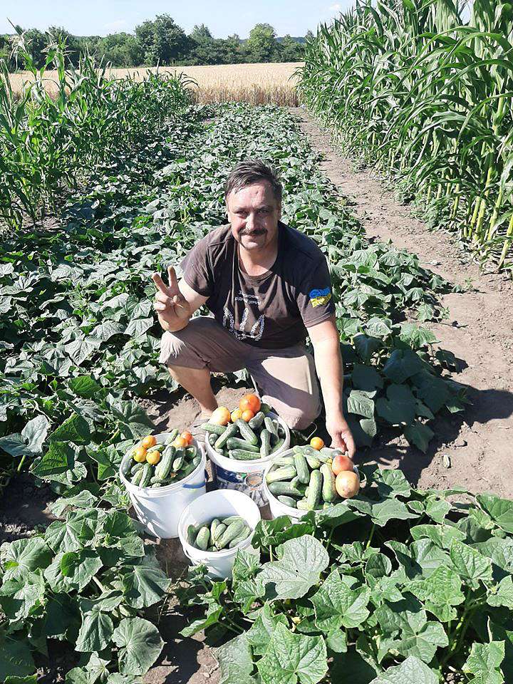 Товмач - Товмач