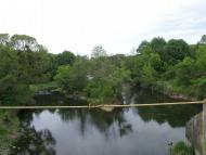 ТЕТЕРІВ У ДЕНИШАХ