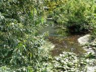 Очима туриста, фото Андрія Сніжка