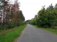 Осіч - Останні фото